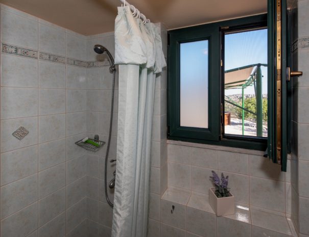 Best View Mountain Villa Chania- Home 12 bathroom shower