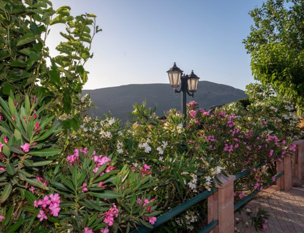 Best View Mountain Villa Chania- Home 5 mountain flowers